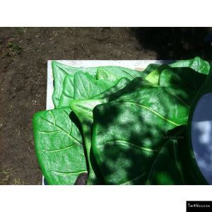 849_3_additional image.jpg image